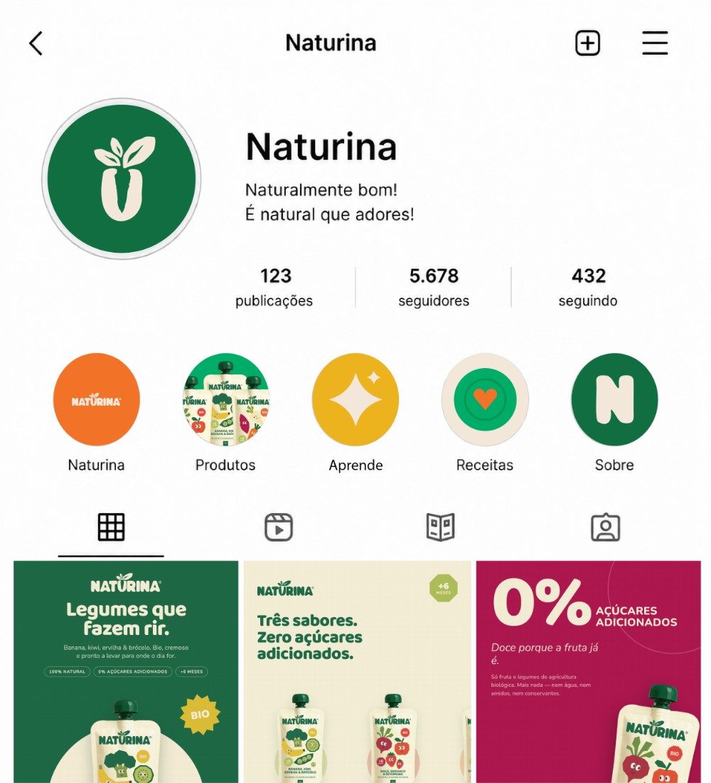 Naturina Instagram profile and feed